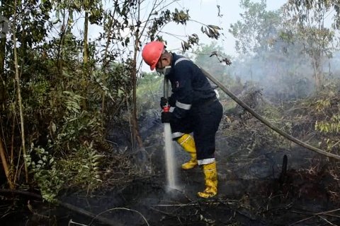 Karhutla terjadi di pinggir Kota Pekanbaru