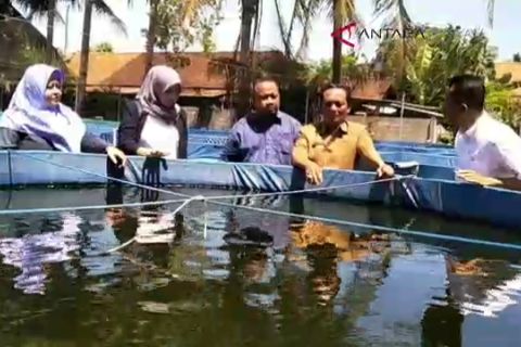 VIDEO: DPRD Kulon Progo minta DKP bina Pokdakan