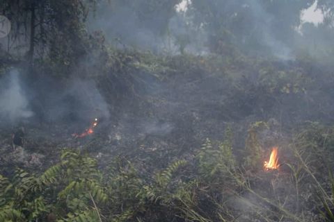 Gubernur Riau minta semua Kabupaten/Kota siaga penuh karhutla