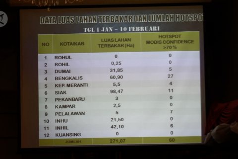 Pemprov Riau tetapkan status siaga darurat karhutla