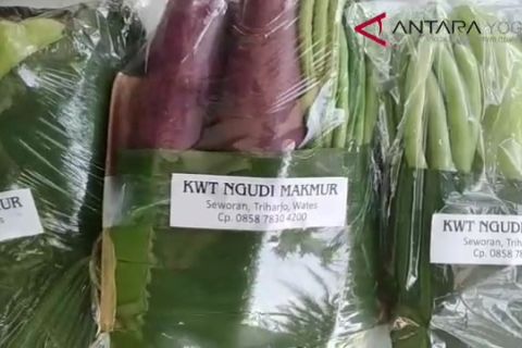 VIDEO: DPRD Kulon Progo desak DPP dampingi wanita tani