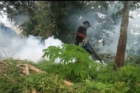Desa Braja Asri  lakukan fogging untuk cegah DBD