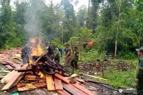 BBKSDA musnahkan 10 pondok pembalak liar di Hutan Giam Siak Kecil