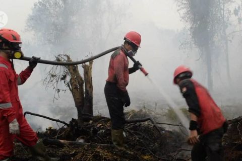 Upaya menjaga hutan Riau dengan Undang - Undang pidana Karhutla