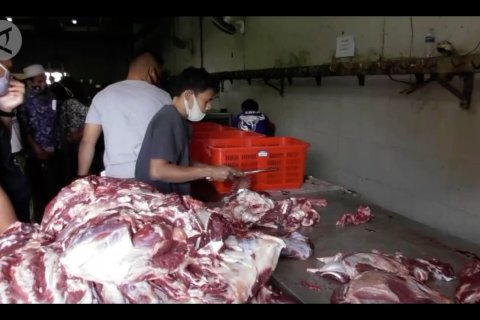 Cara bijak konsumsi daging kurban