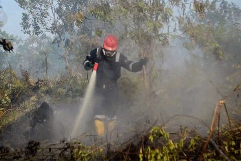 BNPB: dari 6 provinsi, Riau terbaik tangani karhutla