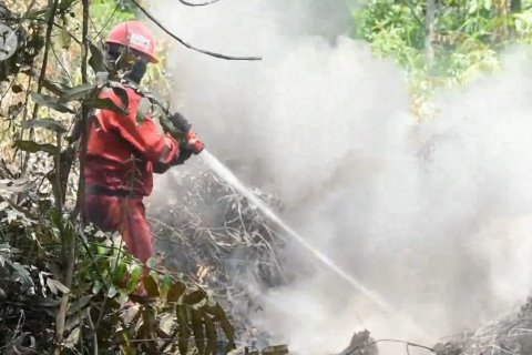 Mulai masuki kemarau, Riau ingin tetap bebas asap
