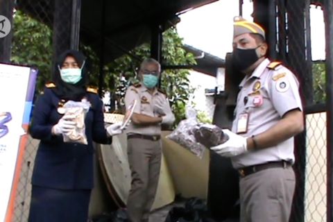 Musnahkan benih tanaman impor yang jadi media pembawa hama