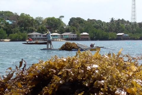 Merekam rengkam di bekas lokalisasi Amat Belanda