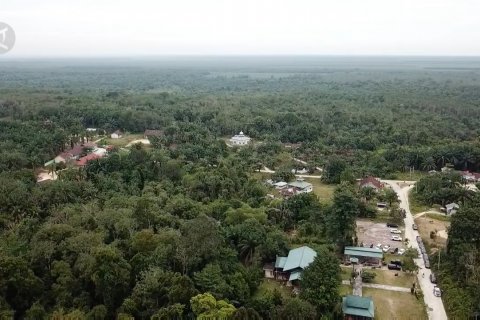 Pemprov Riau berharap 300 hektare hutan adat dapat pengakuan