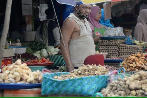 Sektor jasa dan pertanian jadi penopang ekonomi Riau selama pandemi
