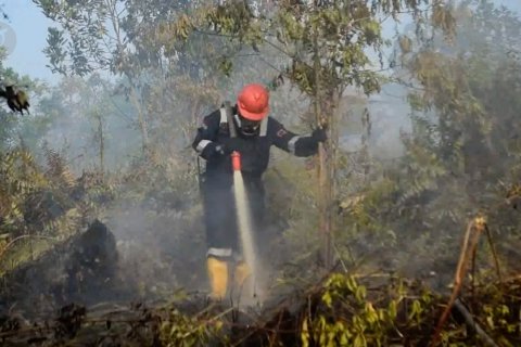 Riau Siaga Darurat Karhutla, 11 helikopter dipersiapkan BNPB