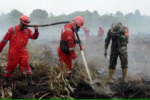 3 hari belum padam, lahan gambut sulitkan pemadaman di Kampar Riau