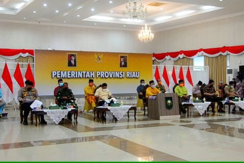 Gubernur Riau: Maksimalkan dana desa untuk penanganan COVID-19
