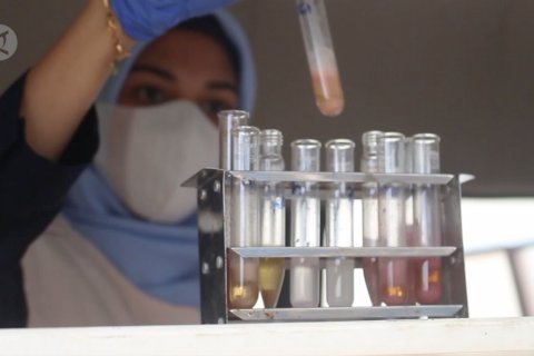 Palembang klaim turunkan kandungan formalin di pasar 70%