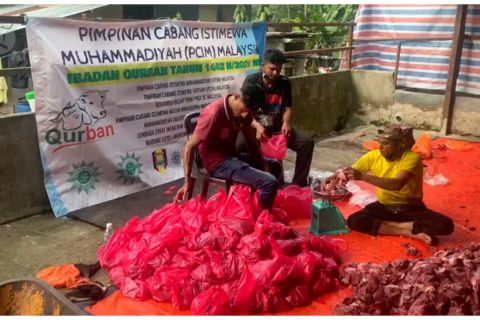 Muhammadiyah Malaysia kurban 15 sapi dan 12 kambing