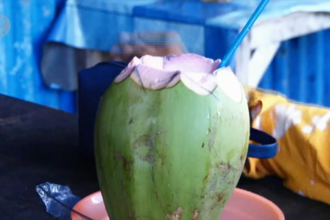 Air kelapa hijau tingkatkan imunitas?