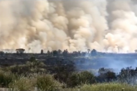 Pemprov Sumsel minta Ogan Ilir bentuk satgas karhutla desa