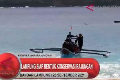 Lampung siap bentuk wilayah konservasi rajungan