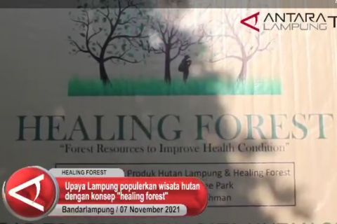 Lampung populerkan wisata hutan dengan konsep forest healing