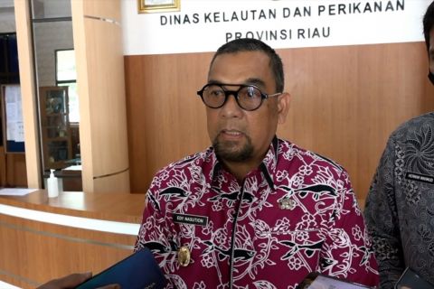 Wagub Riau: Pandemi bukan alasan serapan APBD rendah