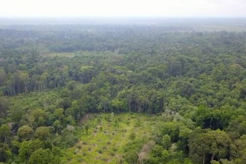 Gubernur Riau perintahkan perbanyak tanah objek reforma agraria