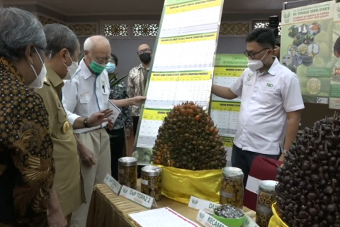 Ekspor perkebunan Indonesia meningkat 51%, Riau ikut andil