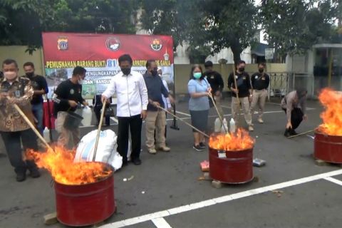 Polda DIY musnahkan ganja kering seberat 81 kg