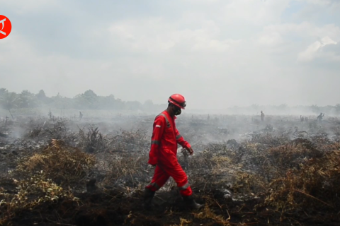 Riau resmi tetapkan status siaga darurat karhutla