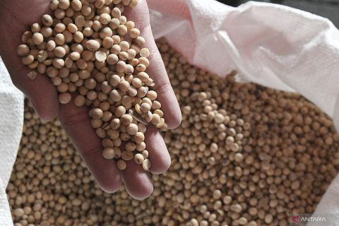 Penyaluran kedelai ke produsen tahu tempe