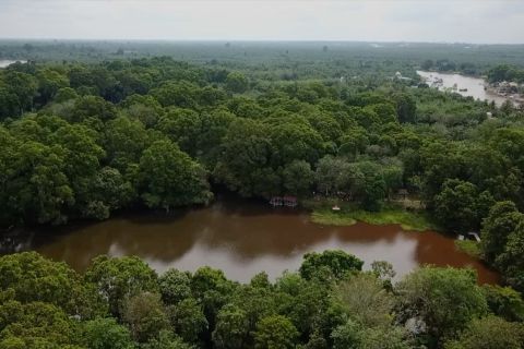 Upaya Riau dalam menyelamatkan ekosistem gambut dan mangrove