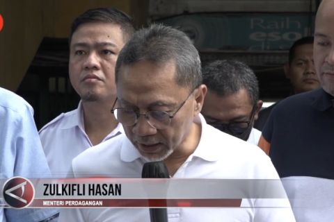 Mendag sebut kenaikan pangan masih batas wajar