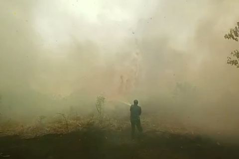 Gubernur Riau larang buka lahan dengan cara membakar