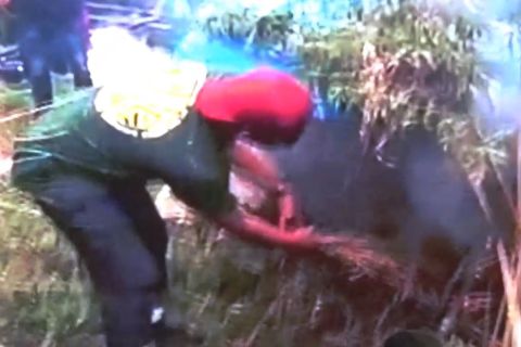 Ditresnarkoba Polda DIY musnahkan ladang ganja seluas 7 hektare