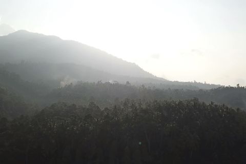 Lampung rehabilitasi hutan