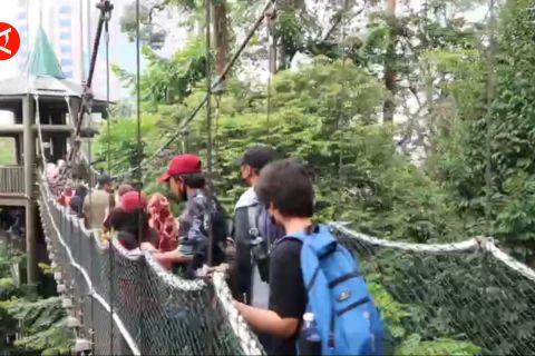 42 murid sanggar bimbingan di Kuala Lumpur pelajari ekosistem hutan