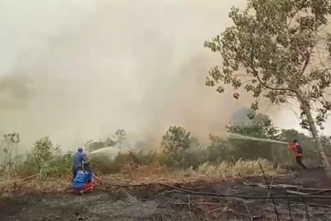 Kebakaran pada 1.249 hektar lahan di Riau berhasil dipadamkan