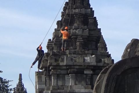 Andalkan keterampilan panjat tebing dalam membersihkan Candi Prambanan