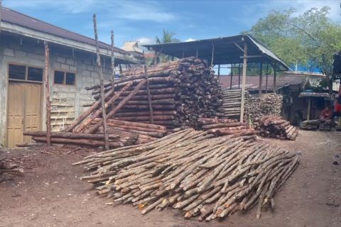 Tarakan dilanda kelangkaan kayu