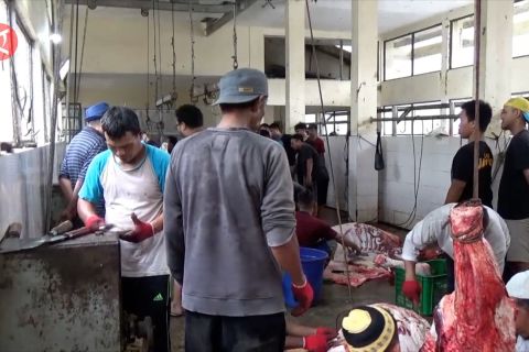 Lebih profesional, warga pilih sembelih kurban di Rumah Potong Hewan