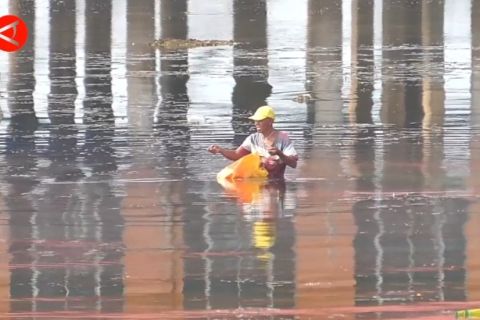 Masih didominasi sektor besar, DJPb Kepri ajak nelayan manfaatkan KUR