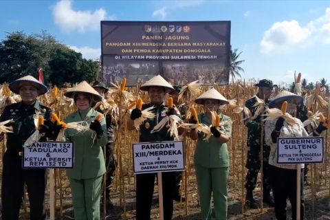 Jaga ketahanan pangan, Pangdam XIII Merdeka panen jagung unggul