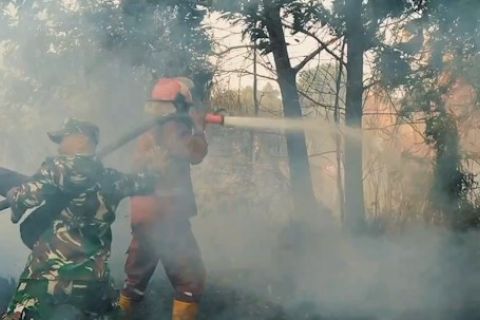 Balai PPIKHL Sumsel sebut kasus karhutla terkendali dibanding 2019