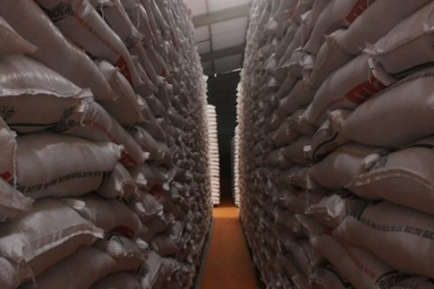 Meski terdampak El Nino, produksi beras NTB tetap surplus