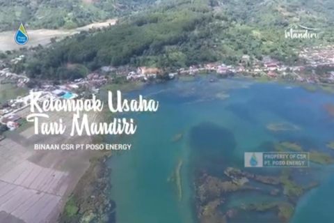 Program CSR PT Poso Energy pada kelompok usaha tani mandiri di Poso