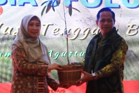 KLHK jadikan NTB percontohan Indonesia's Folu Net Sink 2030