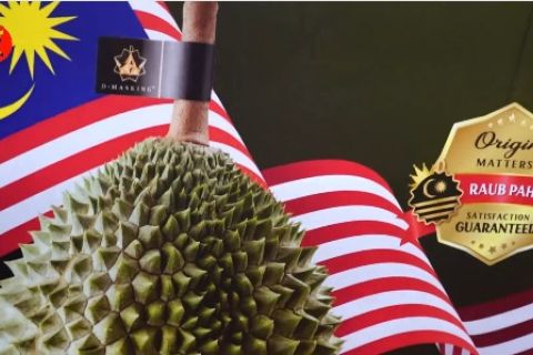 Resmi dibuka di Batam, IMT-GT dorong konektivitas pasar ASEAN