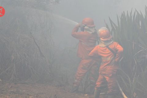 Ogan Komering Ilir, pertama di Sumsel yang tingkatkan status karhutla