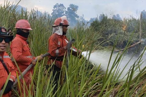 Titik api di Ogan Komering Ilir Sumsel naik hampir tiga kali lipat