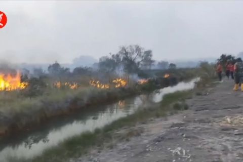 Tangani karhutla, Kepala BNPB minta Sumsel kembali modifikasi cuaca